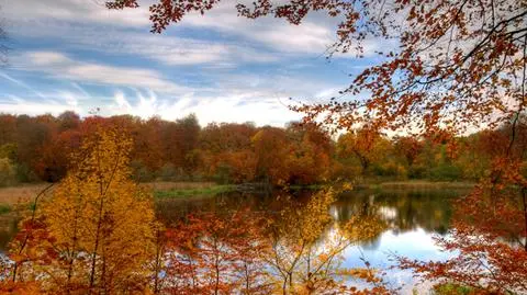 Do czwartku chłodno i mokro. Słońce na weekend