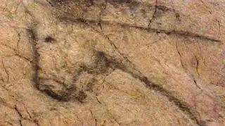 Czyżby było to dzieło neandertalczyków?