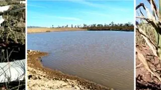 Susza plądruje Meksyk