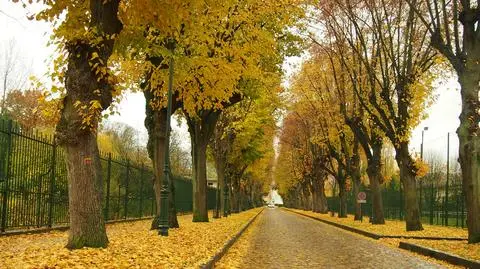 Drogi będą śliskie