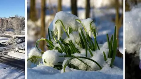 Prawdziwie zimowy poranek: biało, lokalnie 9-stopniowy mróz