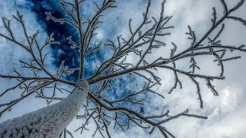 Możliwe opady marznące