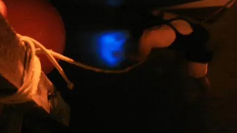 Woda Bałtyku rozbłyska nocą. Bioluminescencja w Zatoce Rewskiej