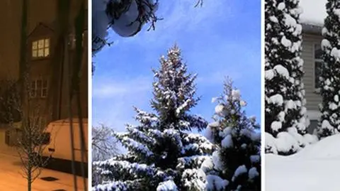 "Śnieg skrzypi pod nogami". Zima okiem Reporterów 24