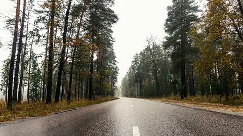 Lokalnie pojawią się przelotne deszcze