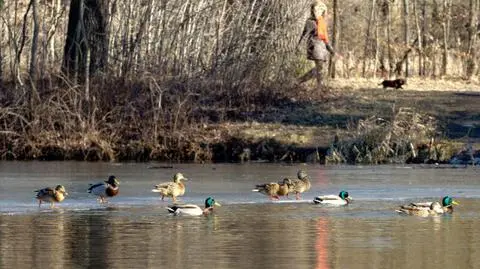 W wielu miejscach kraju można się spodziewać przejaśnień