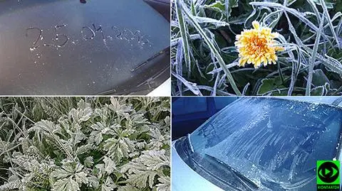 Temperatura w nocy spadła do -4 st. C