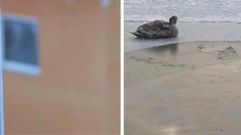 Zmrożona Kamienna Góra