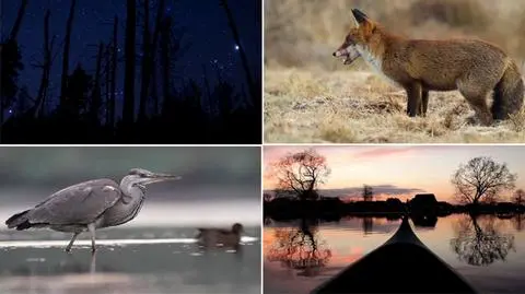 Takiego Podlasia jeszcze nie widzieliście