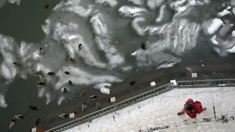 Prognoza pogody na środę: temperatury w wielu miejscach będą na plusie