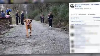 2,5-letnia Ludivine, suczka rasy bloodhound, zajęła 7. miejsce