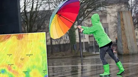 W najbliższych dniach miejscami powieje silny wiatr