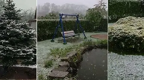 "Majówka na działce". Sypnęło śniegiem