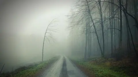 Rano jazdę utrudnią mgły. Potem podróże będą przebiegać bez utrudnień