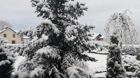 Sypnęło śniegiem