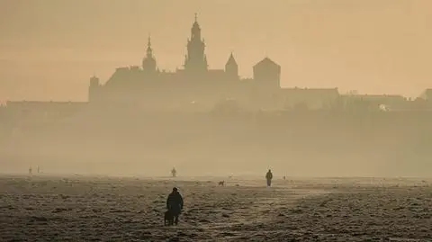 W Krakowie w czwartek darmowa komunikacja. Wszystko przez smog