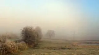 Mgły nad Mazurami są malownicze