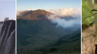 Dokumenty w TVN Meteo