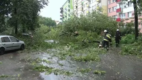 Interwencje po burzach