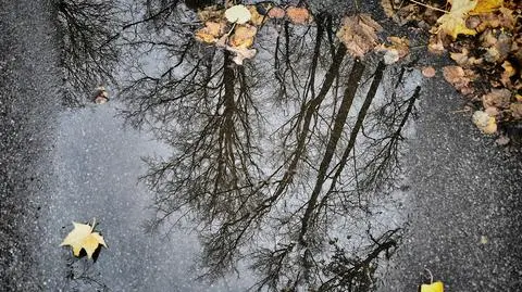 Będzie wietrznie i deszczowo