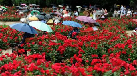 Najpierw słoneczny weekend, potem burze