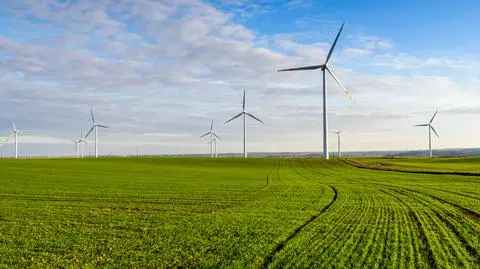Energia z wiatru jest tańsza