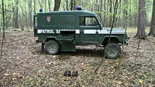 Niewybuchy znalezione przez dziki