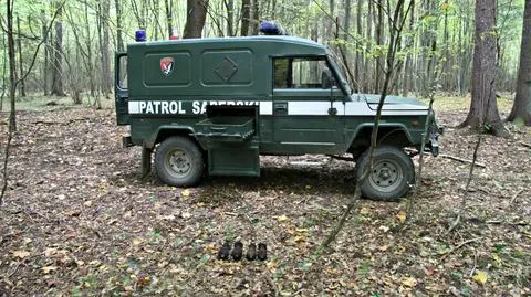 Dziki wykopały granaty moździerzowe