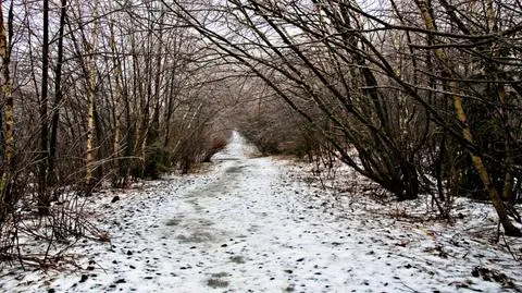 Nadchodzący tydzień "na plusie" i ze śniegiem 