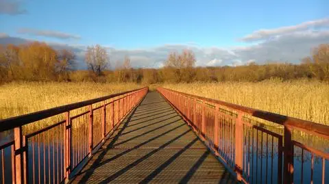 Pogodny dzień