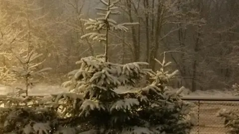 Sypnęło śniegiem. "Nareszcie zima"