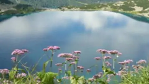 Proszę wsiadać, drzwi zamykać. Kierunek Polska