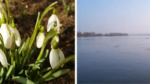 Przebiśniegi, krokusy, rozlewiska. Zima znika z krajobrazu