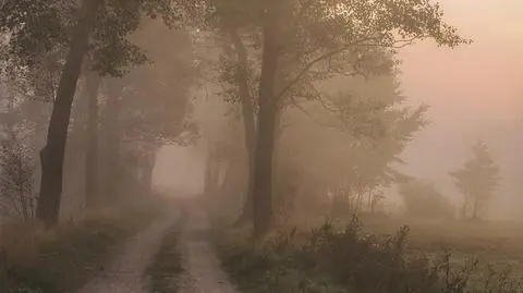 "Mleko" zalało wschód i południe