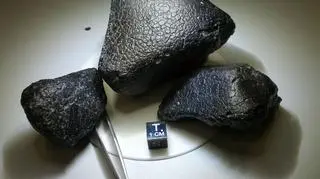 "Czarna piękność" w kawałkach