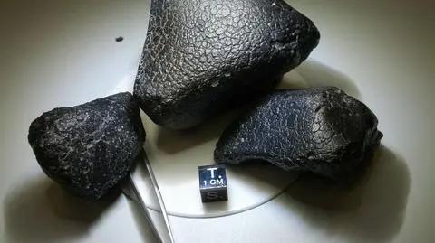 "Czarna piękność" brakującym ogniwem w historii Marsa