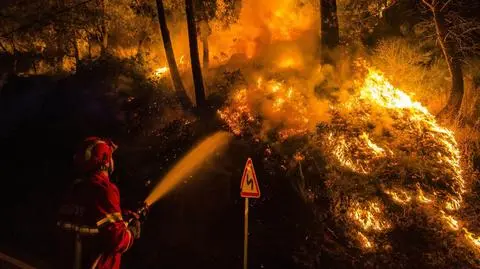 Pogoda wspomoże strażaków z Marsylii. Gorsza sytuacja na Maderze