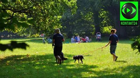 Czeka nas przyjemny dzień