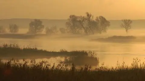 Gęste mgły zalegają niemal nad całym krajem