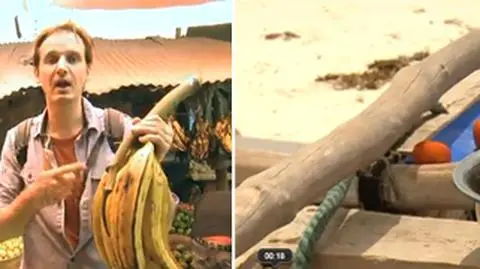 Banany jak trąby słoni i gotowanie na plaży