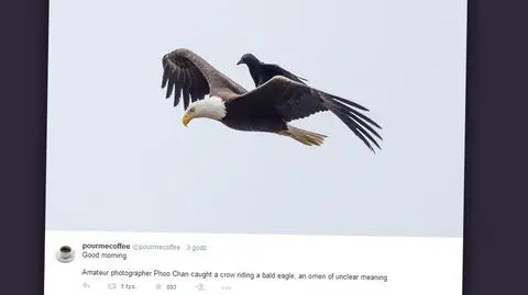 Niesamowite ujęcie