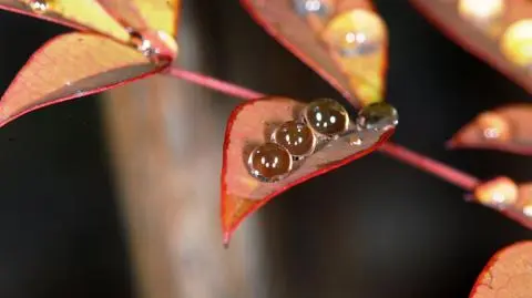 Piątek będzie deszczowy