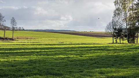 Dzień ma być pogodny