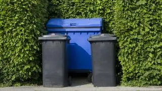 Segregujemy odpady narzekając na pogodę