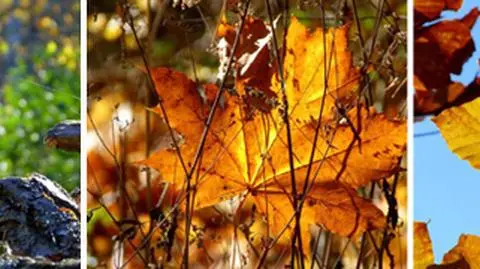 Takie zdjęcia otrzymalismy od ~gosiatomas