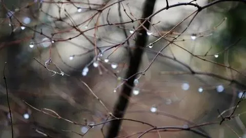 W ciągu dnia spadnie deszcz i deszcz ze śniegiem