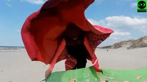 Plaża, silny wiatr i parawany. To nie mogło się udać