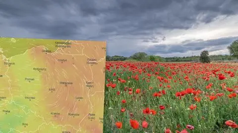 Będzie ciepło, ale mogą pojawić się burze