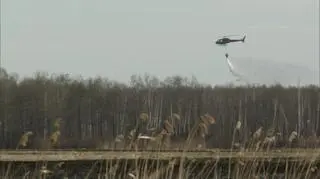 "Dla wielu z nich był to okres wysiadywania jaj"