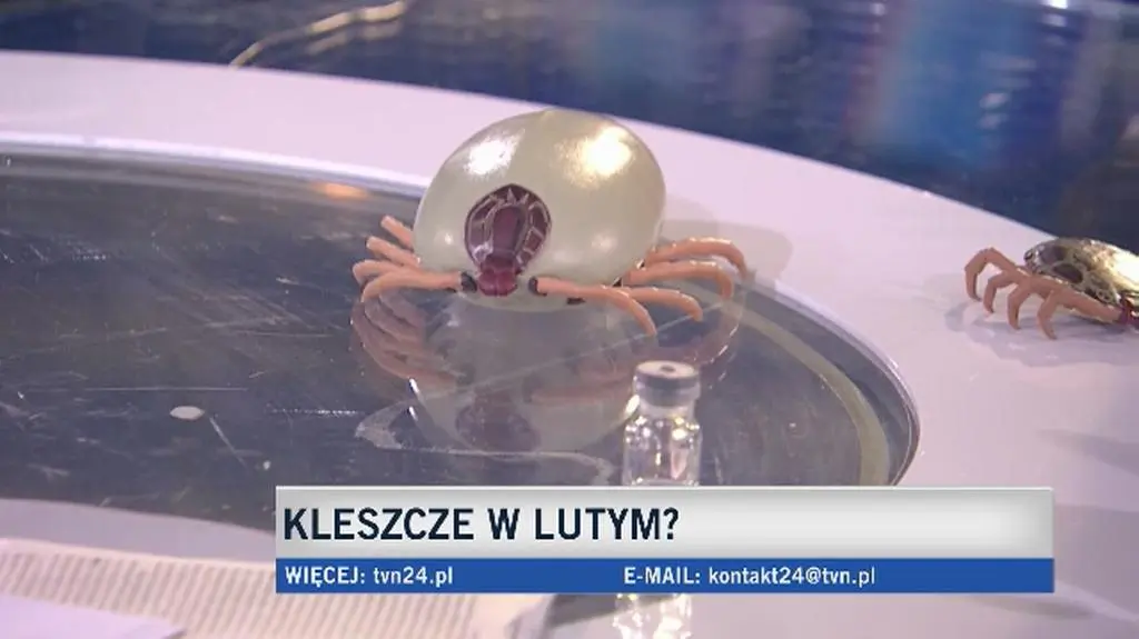 Ekspert o wybudzeniu kleszczy